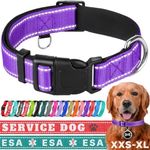 TECEUM Reflective Pet Collar – Purple – L – Extra Soft Padding – Basic Nylon Dog Collar – Quick Release Buckle – Fits Small, Medium and Large Dogs, Puppies, Cats – ESA & Service Dog Options