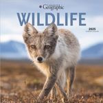 Canadian Geographic Wildlife OFFICIAL | 2025 12 x 24 Inch Monthly Square Wall Calendar | Wyman Publishing | Animals Photography