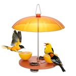 Kingsyard Oriole Bird Feeder for Outside with Big Dome Orange Fruit, Jelly, Mealworm, Nectar (Orange)