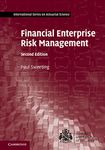 Financial Enterprise Risk Management (International Series on Actuarial Science)