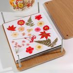 SNAPPSY Press Flower Book Set Flower Pressing Tools for Crafts Lovers Photo Artworks 15cmx15cm