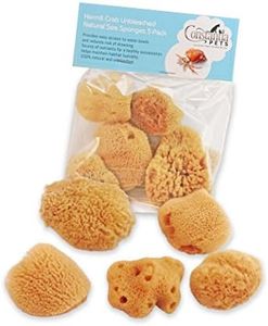 Constantia Pets Unbleached Hermit Crab Natural Sea Sponges 5 Pack: Provides Nutrients Safer Drinking and Helps Maintain Habitat Tank Humidity by