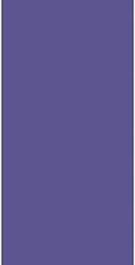 Large Paper Bag New Purple