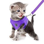 FEimaX No Pull Small Dog Harness and Leash Set, Soft Mesh Puppy Reflective Adjustable Harnesses for Walking Escape Proof Cat Kitten Step-in Breathable Vest Harness