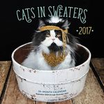 Cats in Sweaters 2017: 16-Month Calendar September 2016 through December 2017