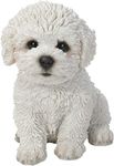 Vivid Arts Pet Pals Bichon Frise Puppy PP-BCHN-F