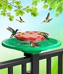 Hummingbird Feeders for Outdoors, B