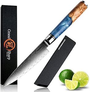 Fruit Knife Paring Knife 6 Inch Pro Japanese Damascus Steel Sharp Blade 67-Layer VG10 Full Tang Cutting Chopping Slicing Cutlery Gyuto Gift Box Kitchen Knife-Blue Resin Handle