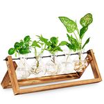 Foosibo Propagation Stations, Air Plant Terrarium Bulb Vase with Wooden Stand, Plant Propagation Station for Indoor Hydroponics Plants for Home Office Garden, Gift for Planter Lovers (5 Bulbs)