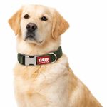 Zigly Lifestyle Classic Adjustable Dog Collar for Small Dogs | Durable Nylon Pet Neck Collar with Secure Buckle & Metal D-Ring | Comfortable Everyday Walking Collar | Olive Green | S| 41.5 x 1.5cm