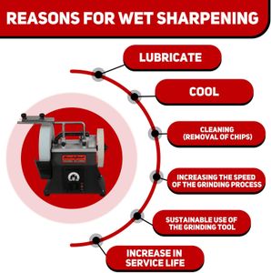 BUCKTOOL 250mm Variable Speed Sharpener – Wet Stone Grinder