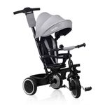 LIONELO Berry 2in1 Kids Tricycle Stroller for toddlers 1-5 Years Up to 25kg Parent steering control Swivel seat Three wheeler Bike Harness Canopy Basket Cup Holder Robust frame Durable wheels