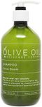 Olive Oil Hair Shampoo - (Citrus Bloom, 500ml)