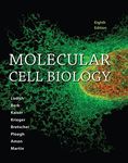 Molecular Cell Biology