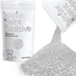 Hemway (SIlver) Glitter Paint Addit