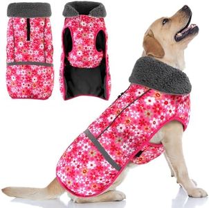 Doglay Dog Coat, Waterproof Dog Jacket Pet Winter Coat for Cold Weather with Thicken Furry Collar, Reflective Puppy Winter Jacket Warm Fleece Lining for Small Medium Large Pets