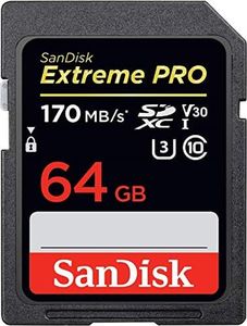 SanDisk 64
