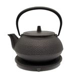 Nanbu Tekki Cast Iron Tea Pot with Base New ARARE Type 5