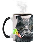 Ariycaz Cat Mug, Funny Cool Cat Mugs Cup 12oz Heat Reactive Color Changing Ceramic Coffee Mug Best Gift for Your Cat Mom Magic Mug