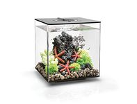 biOrb Cube 30 Acrylic 8-Gallon Aquarium with Multi-Color Remote-Controlled LED Lights Modern Compact Tank for Tabletop Display, Black