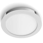 Philips Hue Adore Bathroom Smart Ceiling Light (White Ambiance) 40 Watts (Compatible with Amazon Alexa, Apple HomeKit, and Google Assistant), Silver, Round