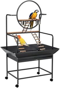 Bird Plays
