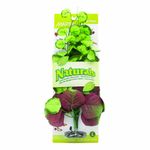 Marina Naturals Pennywort Silk Plant, Large