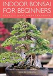 Indoor Bonsai Tree For Beginners