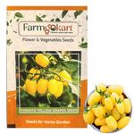 5 Gms of TOMATO YELLOW GRAPES VEGETABLE SEEDS | Appx 2500 Seeds | High Germination Quality Seeds Pouch | for Home Gardening, Farming, Hydroponics and Poly Houses