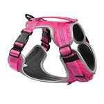 Embark Sports Dog Harness, No Pull Dog Harness with 2 Leash Clips, Dog Harness Medium Anti Pull Dog Harness Front & Back with Control Handle, Adjustable, Soft & Padded |Puppy Harness|