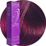 Ion Sally Beauty Color Brilliance Brights Semi-Permanent Hair Color, Fuschia by Ion