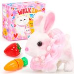 FX Bunny Toys