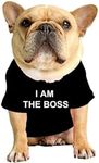 ShopINess Funny T-Shirt for Dogs Ca