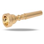 Trumpet Mouthpieces