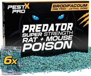 Pest X Pro Predator Rat Poisoning Super Strength - 6 Pack - Powerful Single Feed Rat Killer & Mouse Poison - Brodifacoum in Easy To Use Sachets - Indoor & Outdoor Rodent Control