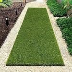 Ileading Artificial Grass Turf Area Rug 2 x 6 Ft Long Outdoor Artificial Grass Runner Rug Fake Grass Pad with Drainage Holes Realistic Synthetic Grass Mat Carpet for Backyard, Garden, Patio, Lawn