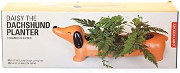 Kikkerland Dog Indoor Plant Pot | Daisy The Dachshund | Dachshund Gifts & Dog Dad Gifts | Succulent Pots & Plant Pots Indoor | Dog Plant Pot & Office Decor | Garden Decor & Indoor Plant