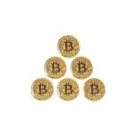 HODL 21 Bitcoin Golf Ball Markers Value Pack - Works with Most Hat Magnetic Clips and Divot Repair Tools Men and Women Golf Gift Accessories Funny Ball Mark Bulk Lot of Bitcoin Ball Markers