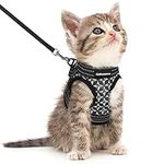 CatRomance Cat Harness and Leash Es