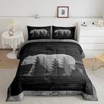 Lodge Cabin Comforter Set Gray Bear Pine Tree Silhouette Pattern Quilted Duvet with 2 Pillowcases+1 Comforter Wild Animal Western Jungle Style Bedding Set for Teens Adults Queen Size 3 Pcs