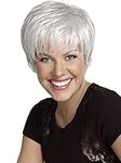 Royalfirst Women's Short Fluffy Silver White Heat Resistant Synthetic Wig