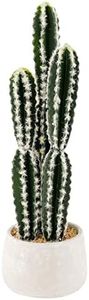 EZY Hedge and Plants 1.97ft Artificial Cactus Plant Potted Fake Desert Cereus Plants for Home Office Shop Cafe Indoor Bathroom Decor, 60cm – Green