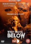 What Waits Below [DVD]