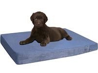 Dogbed4less Orthopedic Small Medium Gel Memory Foam Pet Dog Bed, Waterproof Liner with Gray Microsuede Cover and Extra External Case 35X20X4 Inch