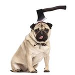 Faxianther Bloody Axe Halloween Costume Pet Headband Scary Cat Dog Headdress Adjustable Head Band Cosplay Party Puppy Headwear Pet Dress-Up Costumes Accessories Trick Props