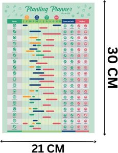 Vegetable Growing Planner Poster – UK Garden Planting Guide