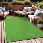 Yamaziot Artificial Grass Rug 4x6 F