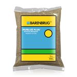 NuBlue Plus Kentucky Bluegrass | Winter Bermuda Grass – Premium Lawn Grass Seeds | Cold-Tolerant, Dense & Weed-Resistant | Ideal for Home Lawns, Parks, Sports & Golf | 1Lbs |454 Grams