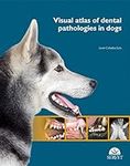 Visual atlas of dental pathologies 