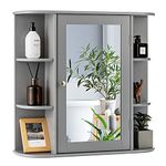 COSTWAY Bathroom Mirror Cabinet, Single Door Wall Mounted Storage Cupboard with Adjustable Shelves, Home Office Living Room Display Organiser Unit (Grey, 65 x 17 x 64cm)